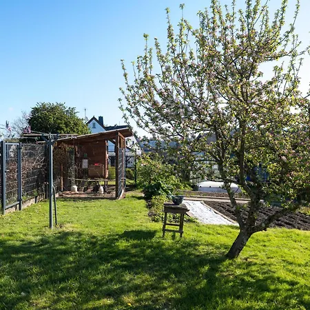 Ferienhaus Bruni Manderscheid