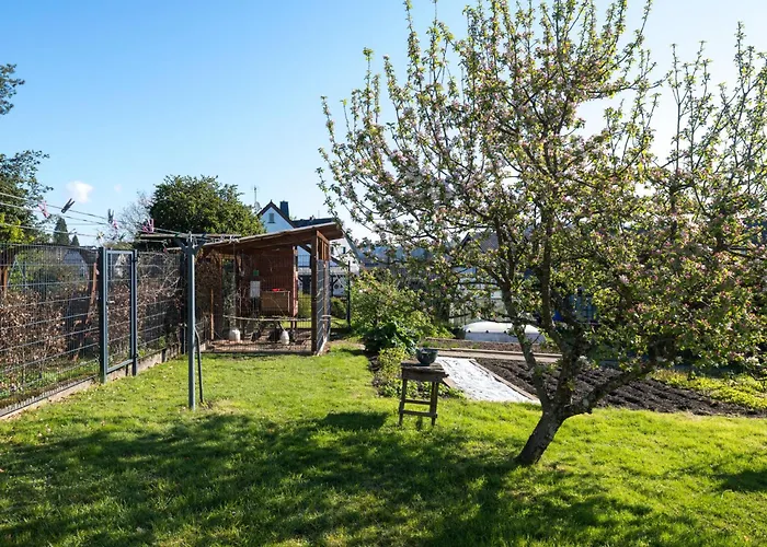 別荘 Bruni By Interhome マンダーシャイト